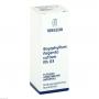 BRYOPHYLLUM ARGENTO cultum Rh D 3 Dilution