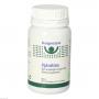 BURGERSTEIN Spirulina Tabletten