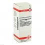 CALADIUM seguinum D 4 Dilution