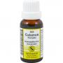 CALAMUS KOMPLEX Nr.181 Dilution
