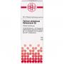 CALCIUM CARBONICUM Hahnemanni C 6 Dilution