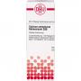 CALCIUM CARBONICUM Hahnemanni D 30 Dilution
