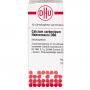 CALCIUM CARBONICUM Hahnemanni D 60 Globuli