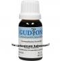 CALCIUM CARBONICUM Hahnemanni LM 6 Lösung