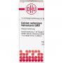 CALCIUM CARBONICUM Hahnemanni LM IX Dilution