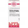 CALCIUM CARBONICUM Hahnemanni LM XXIV Dilution
