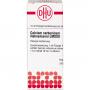 CALCIUM CARBONICUM Hahnemanni LM XXX Dilution