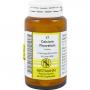 CALCIUM FLUORATUM KOMPLEX Nr.17 Tabletten