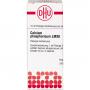 CALCIUM PHOSPHORICUM LM XII Dilution