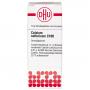 CALCIUM SULFURICUM C 100 Globuli Ind.Fert.
