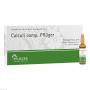 CALCULI COMP.Pflüger Ampullen