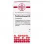 CANDIDA ALBICANS C 15 Globuli Ind.Fert.