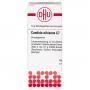 CANDIDA ALBICANS C 7 Globuli Ind.Fert.