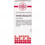 CANDIDA ALBICANS D 12 Globuli