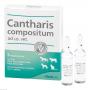CANTHARIS COMPOSITUM ad us.vet.Ampullen