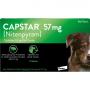 CAPSTAR 57 mg Tabletten f.große Hunde