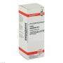 CARBO VEGETABILIS D 6 Dilution