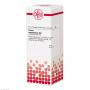 CARBO VEGETABILIS D 8 Dilution