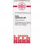 CARBO VEGETABILIS LM I Dilution Ind.Fert.