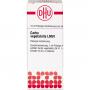 CARBO VEGETABILIS LM VI Dilution