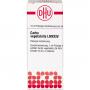 CARBO VEGETABILIS LM XXIV Dilution
