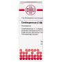 CARDIOSPERMUM C 100 Globuli Ind.Fert.
