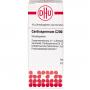 CARDIOSPERMUM C 200 Globuli