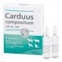 CARDUUS COMPOSITUM ad us.vet.Ampullen