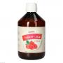 CARNITIN HIMBEER Sirup