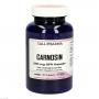 CARNOSIN 250 mg GPH Kapseln CARNOSIN 250 mg GPH Kapseln
