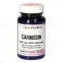 CARNOSIN 250 mg GPH Kapseln CARNOSIN 250 mg GPH Kapseln
