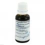 CAULOPHYLLUM D 6 Dilution