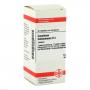 CAUSTICUM HAHNEMANNI D 4 Tabletten