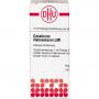 CAUSTICUM HAHNEMANNI LM I Dilution Ind.Fert.