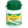 CDPROTECT Cat Pulver