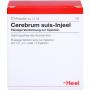CEREBRUM SUIS Injeel Ampullen