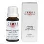 CERES Artemisia vulgaris Urtinktur