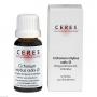 CERES Cichorium intybus radix Urtinktur