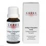 CERES Ginkgo dryopteris comp.Tropfen