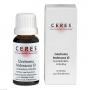 CERES Glechoma hederacea Urtinktur