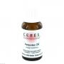 CERES Petasites D 6 Dilution