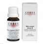 CERES Ribes nigrum folium Urtinktur