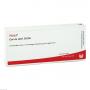 CERVIX uteri GL D 6 Ampullen