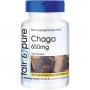 CHAGA 650 mg Kapseln