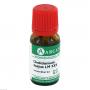 CHELIDONIUM MAJUS LM 30 Dilution