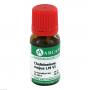 CHELIDONIUM MAJUS LM 6 Dilution