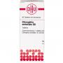 CHIMAPHILA UMBELLATA D 6 Tabletten CHIMAPHILA UMBELLATA D 6 Tabletten