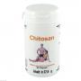 CHITOSAN 500 mg Kapseln