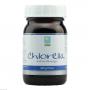 CHLORELLA MICROALGEN Pulver
