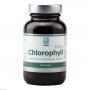 CHLOROPHYLL plus Kapseln
